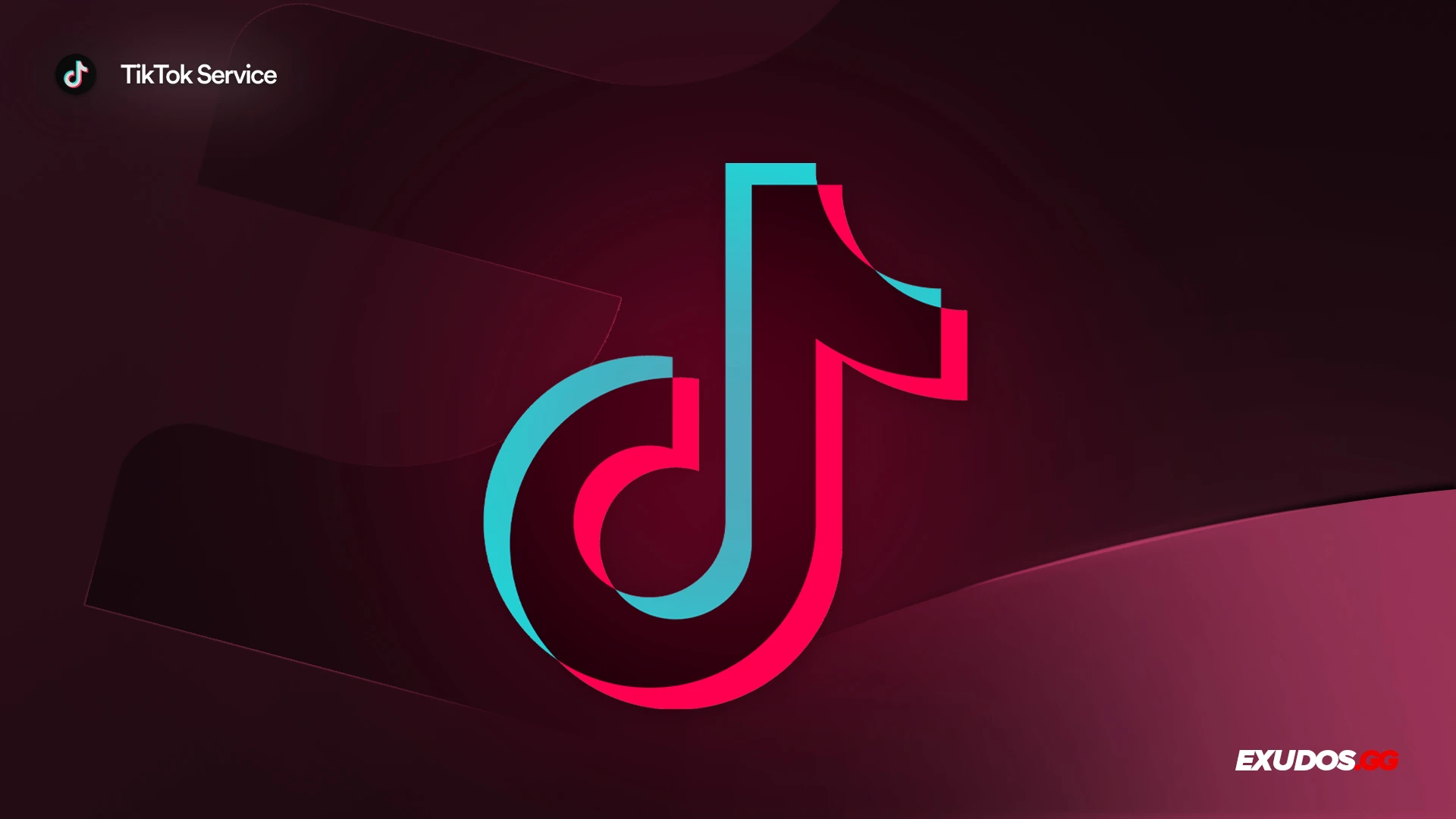 TikTok Service