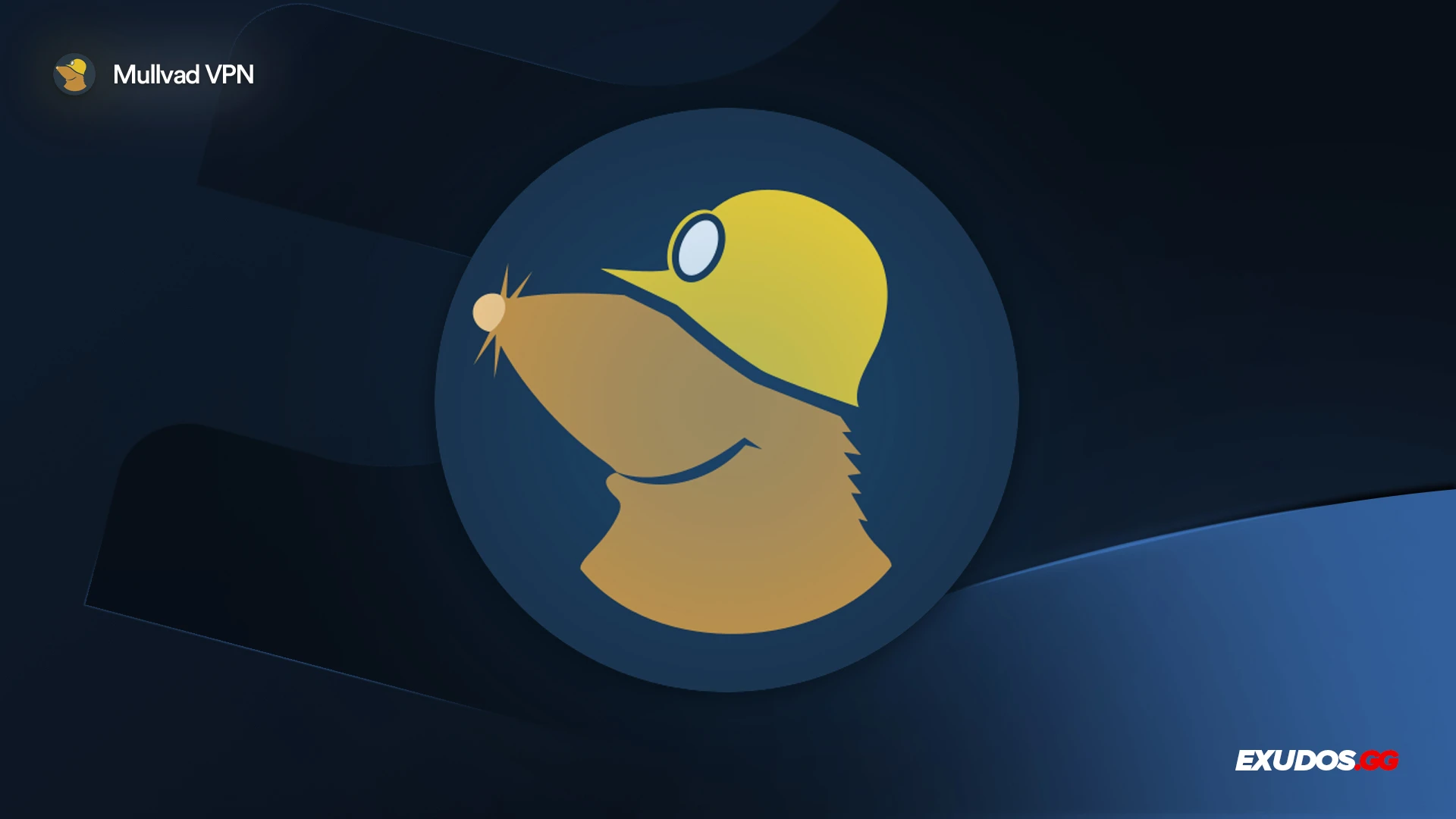 Mullvad VPN